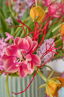 Spring bouquet with tulips (Tulipa) and yellow ranunculus in a striped ceramic pot