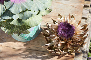 Getrocknete Artischockenblüte neben Kübel mit Zierkohl auf Holztisch