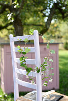 Wreath of common snowberry on a white chair in the garden