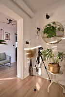 Room corner with plants, camera with tripod and wall decoration