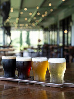 Four kinds of freshly tapped beer