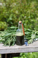 Brennnessel-Frischpflanzensaft - harntreibend, entgiftend, reich an Vitamin C und Eisen
