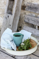 Wild herb tea for the metabolism - stimulating, draining, liver-friendly