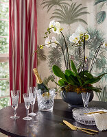 Elegant table with orchids, champagne and crystal glasses in front of exotic wallpaper