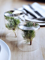 Kleine Deko-Gläser mit 'Tannenbaum' zu Weihnachten