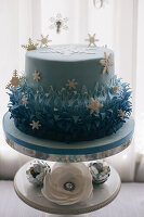 The Netherlands, Birthday cake, The Movie Frozen theme