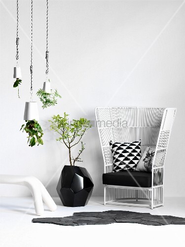 White Wicker Chair With Black Cushions Buy Image