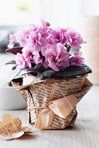 blumentopf mit zeitungspapier dekorieren, blumentopf mit manschette aus zeitungspapier – bild kaufen, Design ideen