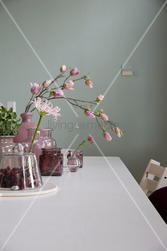 Branch Of Magnolia Flowers And Pink Buy Image 11329105