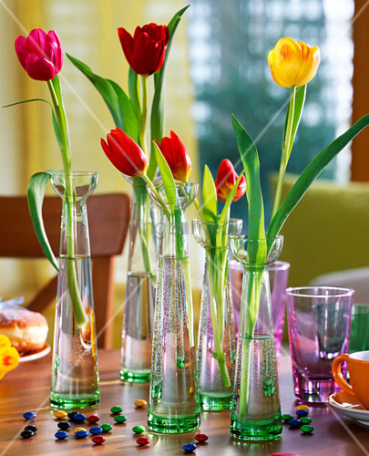 Tulipa Tulip In Tall Glass Vases Buy Image 12226655