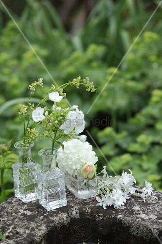 Various White Flowers In Small Glass Buy Image 12244803