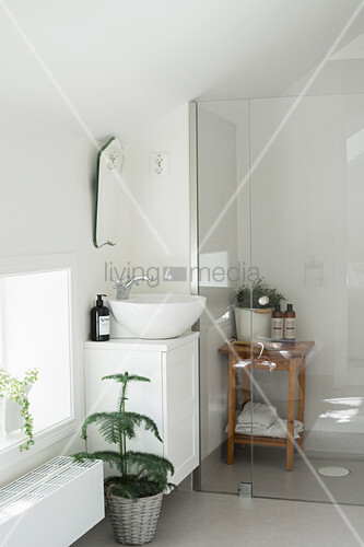 Walk In Shower In Modern Bathroom Under Buy Image 12374067