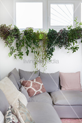 Grey Corner Sofa With Scatter Cushions Buy Image 12405939