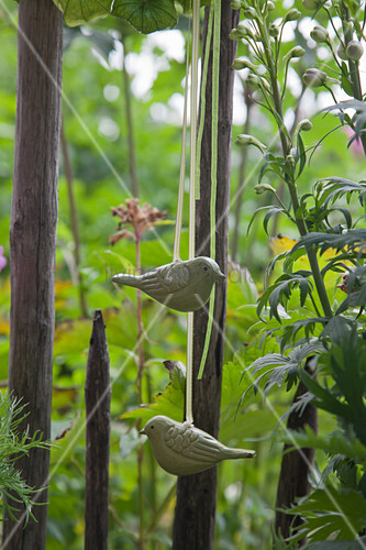 Vogelfiguren Am Gartenzaun Bild Kaufen 12431511 Living4media