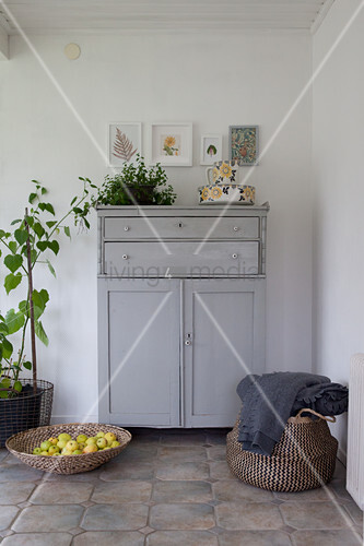 Grey Cabinet Houseplants Shallow Buy Image 12470207